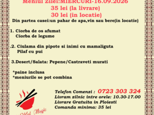 Meniul Zilei Romanesc